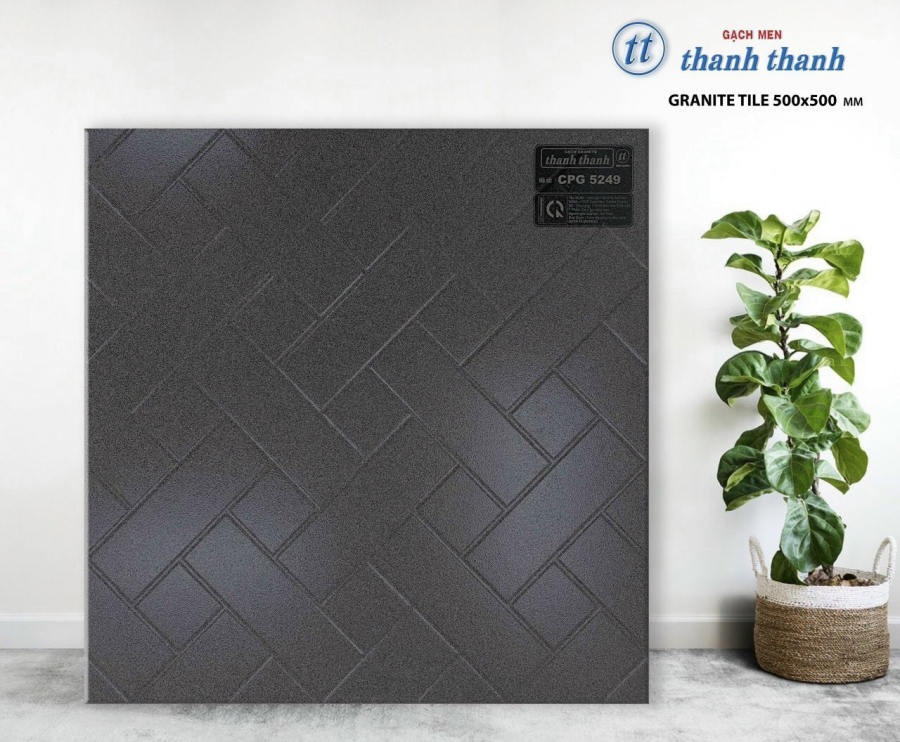 Thanh Thanh  CPG 5249